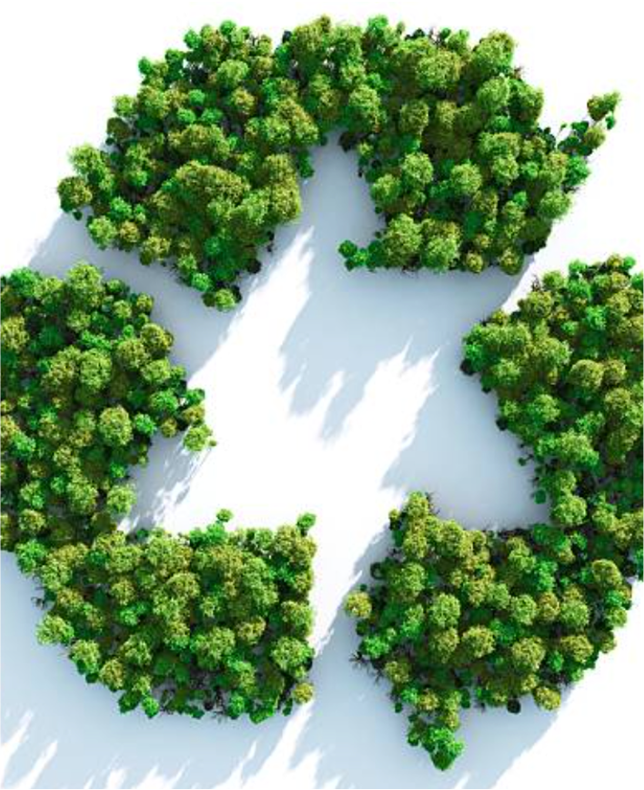 Earth Environment